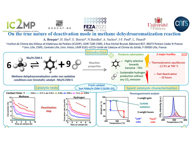 On the true nature of deactivation mode in methane dehydroaromatization reaction