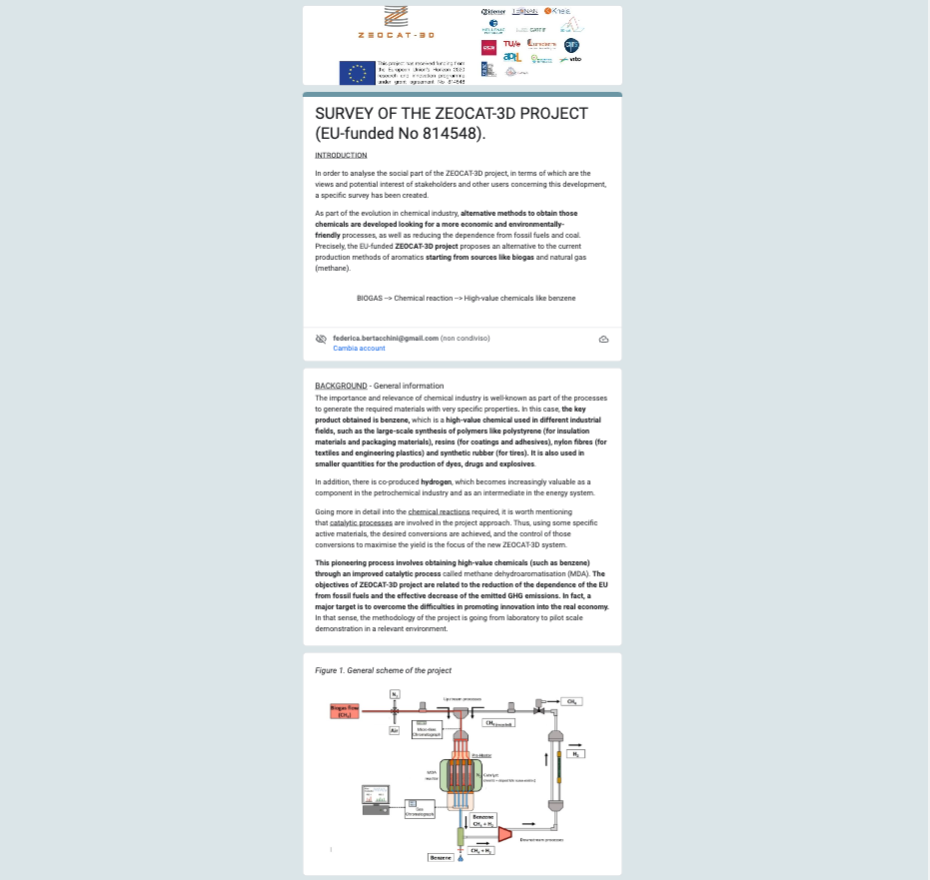Figure 2: How the published survey looks like – Source: Lurederra