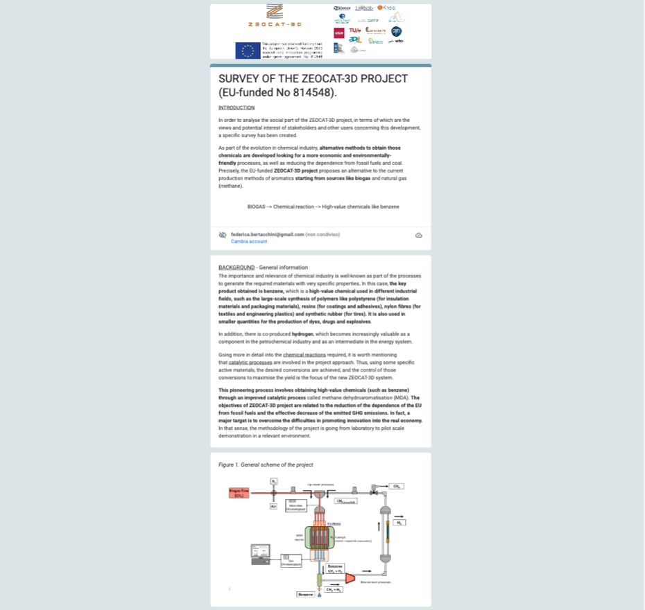 Figure 2: How the published survey looks like  – Source: Lurederra