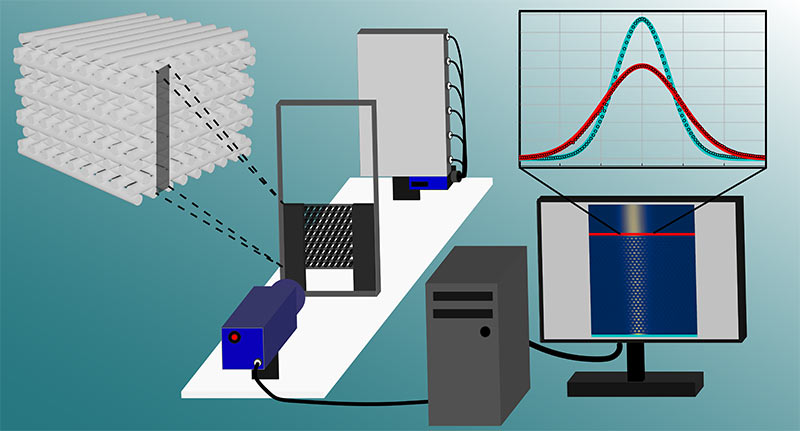 Schematic overview of the workflow.