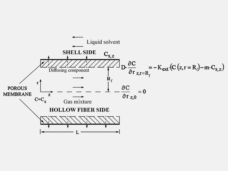 Contour plot of the dimensionless  concentration in the fibre for lumen-wall nonlinear BC