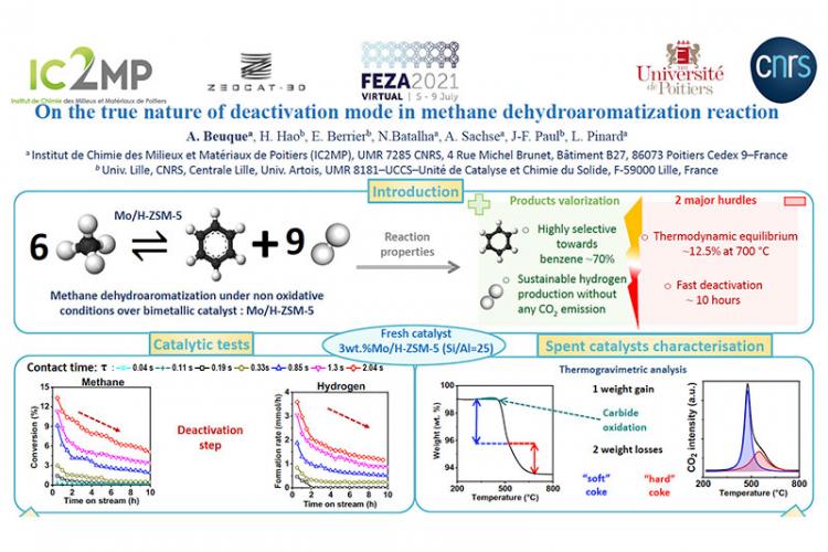 On the true nature of deactivation mode in methane dehydroaromatization reaction